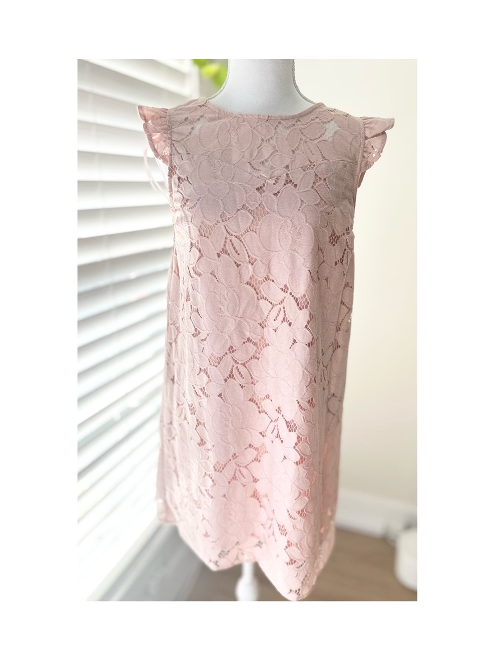 Monteau Pale Pink Lace Shift Dress with Flutter Cap Sleeves